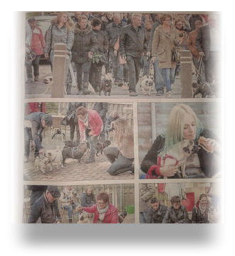 collage image title